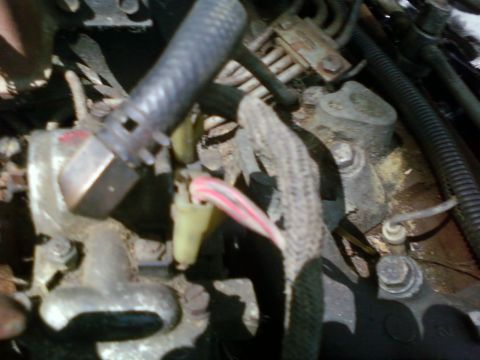 1989 Ford Bronco - Close-up view of engine bay components, including hoses and wiring harnesses.