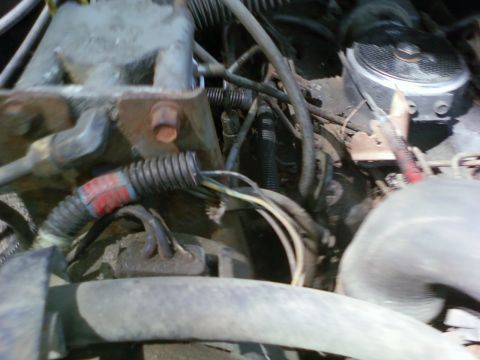 1989 Ford Bronco - Close-up view of an engine bay, showing various hoses and electrical wiring.