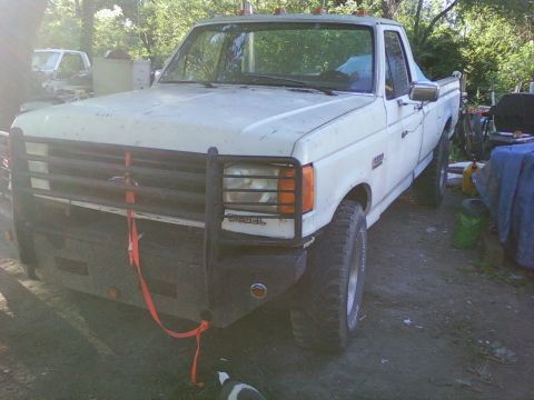 1989 Ford Bronco - This white Ford F-250 truck is parked outdoors with a brush guard and a large aftermarket bumper. A second vehicle is visible in the backgr…