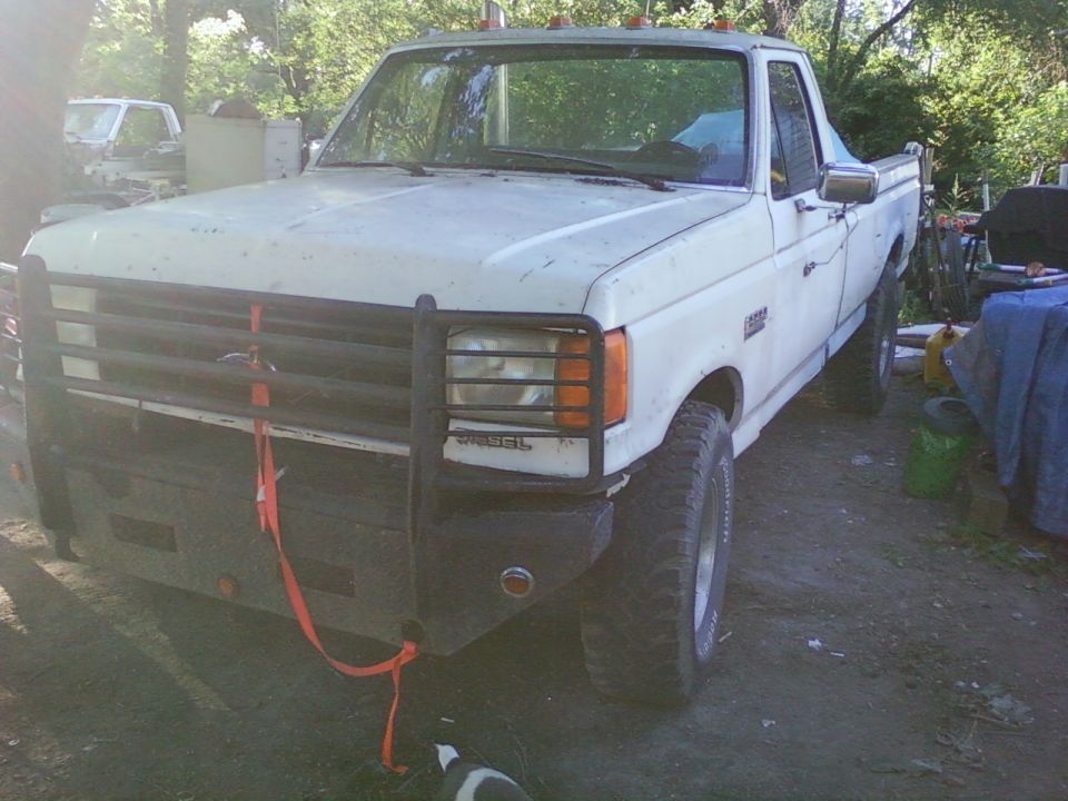 White Ford F-250 truck with a brush guard and aftermarket bumper. Another truck is visible in the background