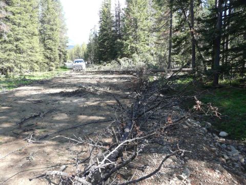 2006 Ford E350 - Scene of a forest road blocked by fallen trees, with two trucks visible in the distance.