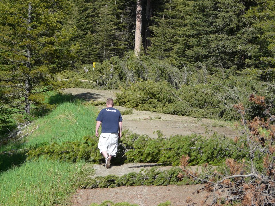 Man in a dark blue t-shirt and white shorts walks on a dirt path through a forest with many fallen trees