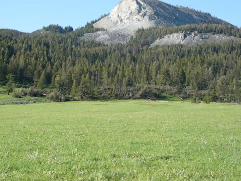 2006 Ford E350 - A vast mountain landscape features a lush green meadow leading up to a dense forest and a , rocky peak.