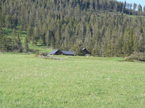2006 Ford E350 - Two structures are visible in a wide, green meadow with a forest in the background.