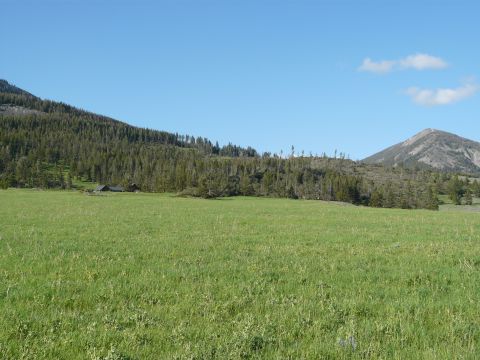 2006 Ford E350 - A wide landscape shot shows a green meadow in the foreground, with a dense forest and distant mountains under a bright blue sky.