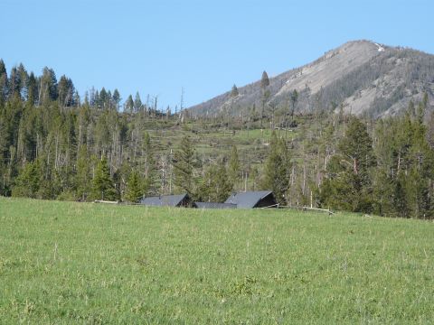 2006 Ford E350 - A view of a mountain slope showing evidence of damage to the forest, with some buildings visible below.