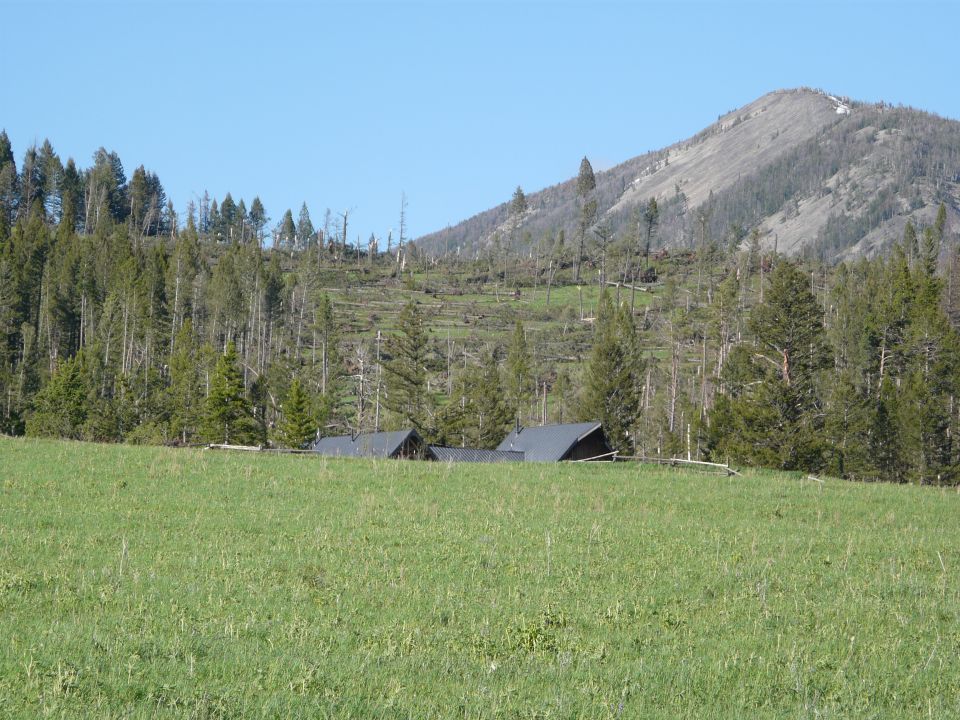Mountain landscape with a damaged forest on the slope and a few buildings in the foreground meadow