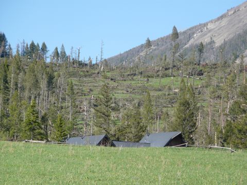 2006 Ford E350 - A landscape scene depicting two structures amidst a field, with a hillside covered in damaged trees under a clear blue sky.