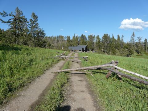 2006 Ford E350 - A remote dirt road is blocked by fallen logs, leading towards a cabin among trees.