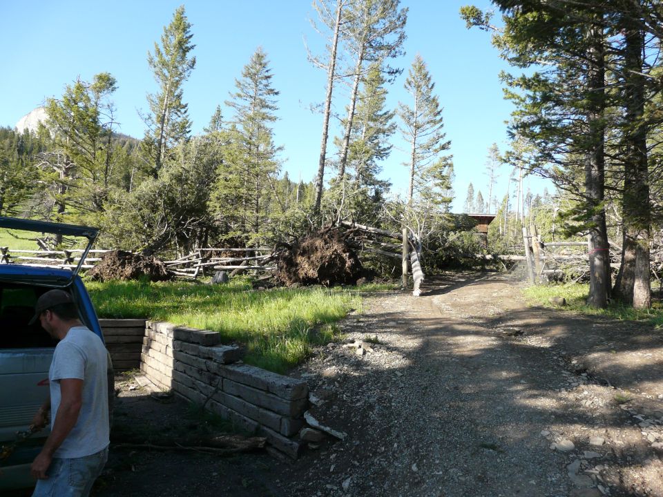Blue van door with a man standing next to it, in a scene of tornado damage with fallen trees and fences