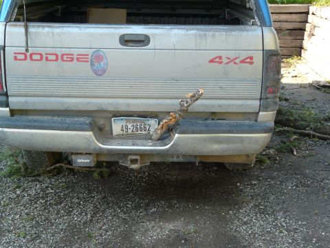 2006 Ford E350 - Rear view of a Dodge pickup truck with a branch lodged in the bumper and license plate area.