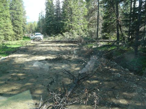 2006 Ford E350 - A white van is parked in a forest clearing littered with debris and fallen trees.