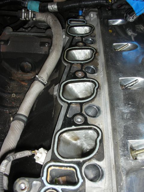 1992 Ford Crown Victoria - Close-up of an engine intake manifold gasket, revealing wear and sealant around the ports.