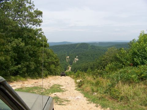 1992 Jeep YJ - Two Jeeps navigate a dirt road through a lush, green forest landscape under a cloudy sky.