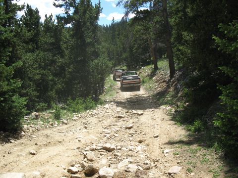 1978 Ford F-150 - Two pickup trucks navigate a rough, rocky path through a dense forest on a sunny day.