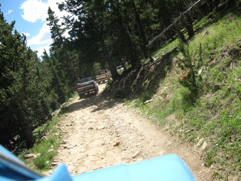 1978 Ford F-150 - Multiple trucks navigate a winding dirt road through a dense forest on a sunny day.