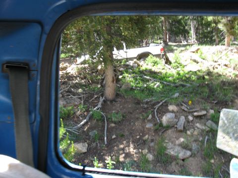 1978 Ford F-150 - A white pickup truck navigates a wooded, off-road trail with dense foliage and rocks.