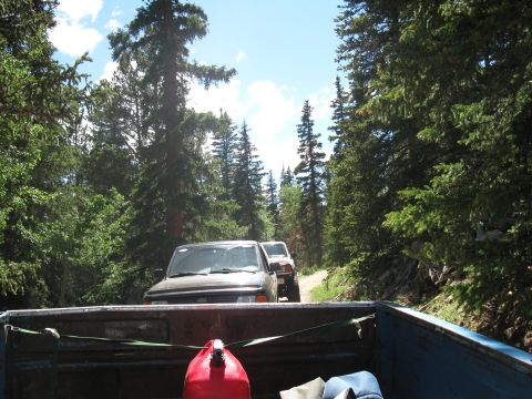 1978 Ford F-150 - Two trucks navigate a dirt road through a dense forest, with the camera positioned in the bed of a third vehicle.