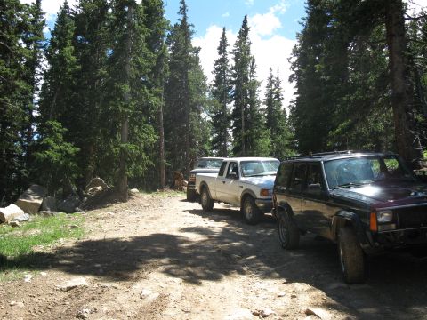 1978 Ford F-150 - Multiple off-road vehicles are parked on a dirt road surrounded by tall pine trees.