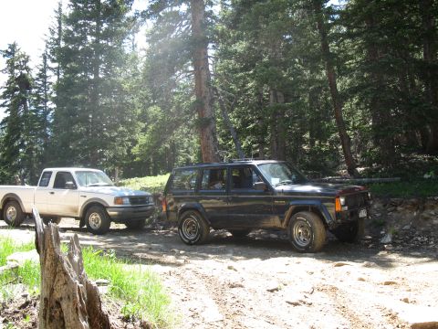 1978 Ford F-150 - Two SUVs navigate a dirt road through a dense forest, highlighting their off-road capabilities.