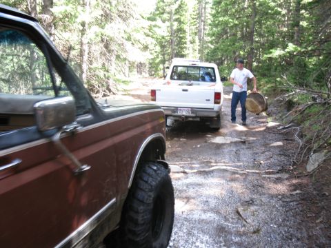 1978 Ford F-150 - Two trucks navigate a rough dirt road through a wooded area.