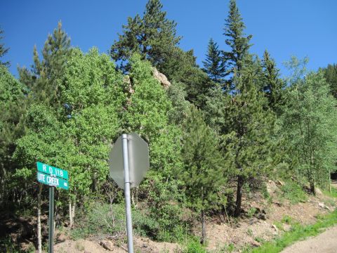 1978 Ford F-150 - A rural roadside scene with directional signs and dense foliage under a clear blue sky.