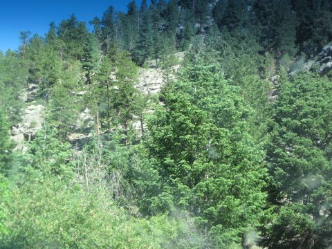 1978 Ford F-150 - A scenic view of a mountainside covered in dense evergreen trees and rocky outcrops, with a Supermotors logo visible.