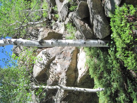 1978 Ford F-150 - A natural scene of a rocky mountainside with trees and vegetation, a watermark at the bottom right.
