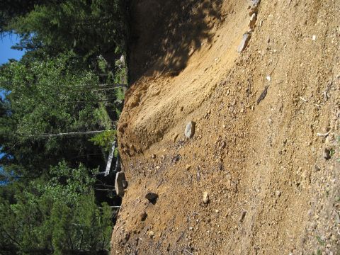 1978 Ford F-150 - A dirt embankment with trees is visible under a blue sky, with a website watermark in the corner.