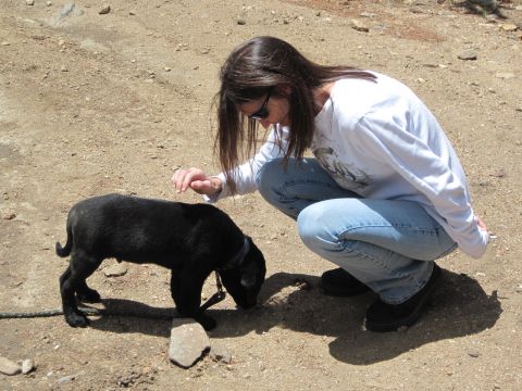 1978 Ford F-150 - A person interacts with a black puppy in an outdoor, dusty environment.