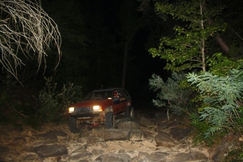 1984 Ford Bronco II “1BadB2”