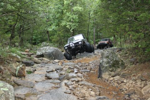 1984 Ford Bronco II “1BadB2”
