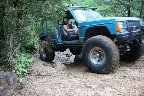 1984 Ford Bronco II “1BadB2”