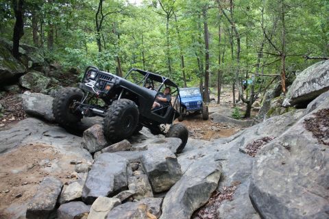 1984 Ford Bronco II “1BadB2”