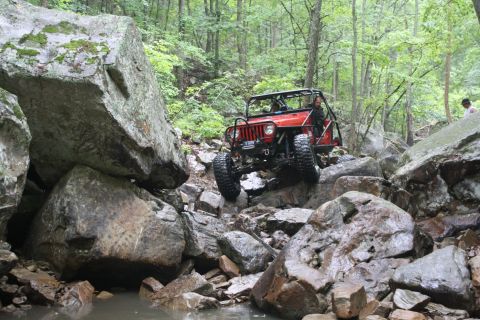 1984 Ford Bronco II “1BadB2”