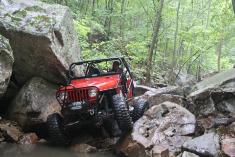 1984 Ford Bronco II “1BadB2”