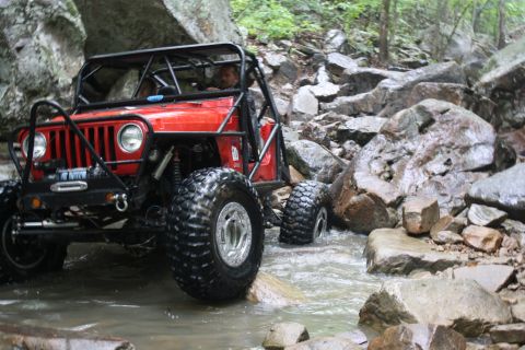 1984 Ford Bronco II “1BadB2”