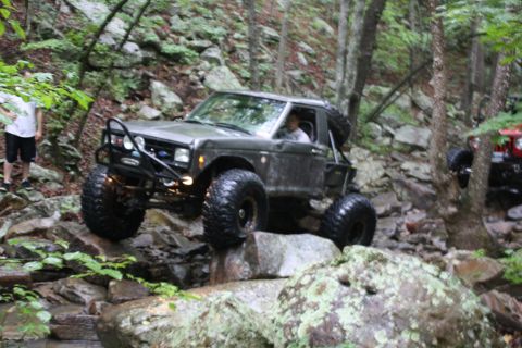 1984 Ford Bronco II “1BadB2”