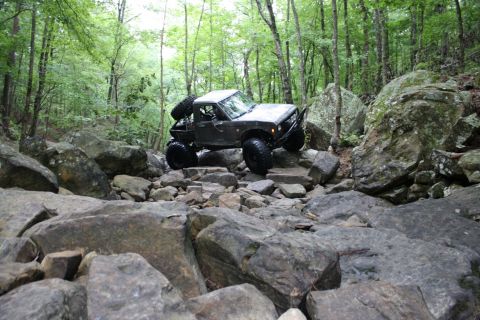 1984 Ford Bronco II “1BadB2”