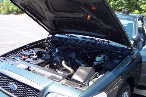 2001 Ford Crown Victoria - Engine bay of a 2001 Ford Crown Victoria, showing the engine and front grille with the Ford logo.