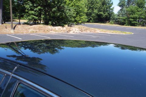 2001 Ford Crown Victoria - The car's roof reflects the surrounding trees and sky, showing a clear day.