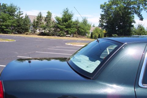 2001 Ford Crown Victoria - The rear of a dark green sedan is visible, parked in an empty lot with trees and houses in the background.