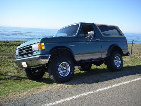 1990 Ford Bronco - This Ford Bronco is parked on a grassy shoulder next to the ocean on a clear day.