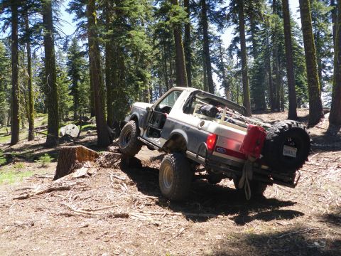 1991 Ford Bronco - Off-roading in the woods, this 1991 Ford Bronco tackles a large tree stump.