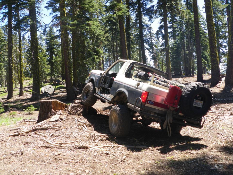 1991 Ford Bronco climbing over a tree stump on a dirt trail in a forest