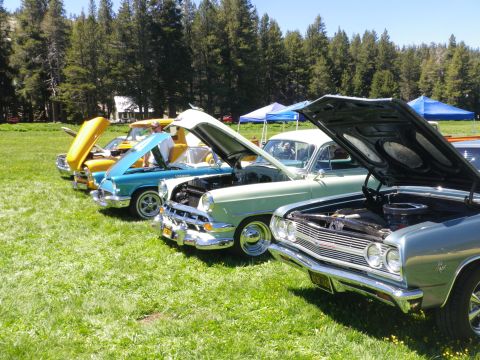 1991 Ford Bronco - A row of vintage cars are displayed with their hoods open at an outdoor event.