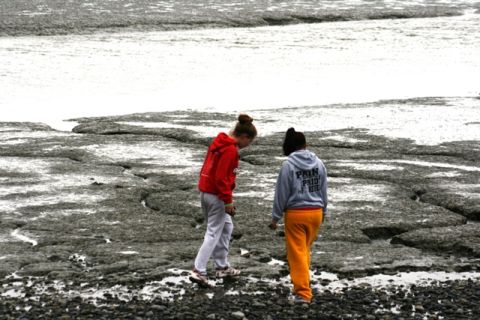 1990 Chevrolet Suburban - Two people explore a rocky shoreline at Captain Cook State Park.