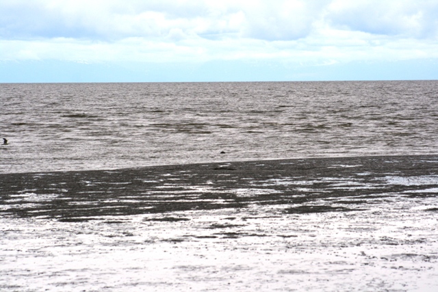 Water meets a muddy shore under a cloudy sky