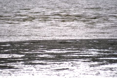 1990 Chevrolet Suburban - A view of mudflats and rippled water under an overcast sky.