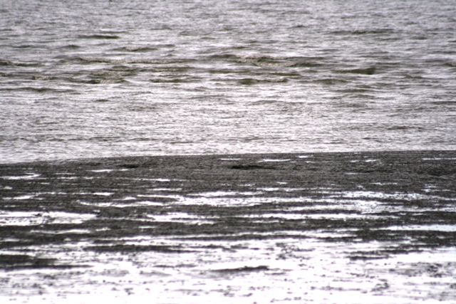 Mudflats with rippled water in the background